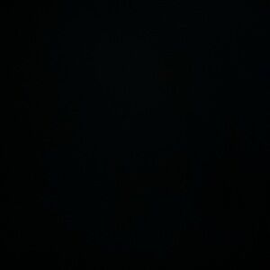 Kids, Women’s, And Men’s It All Has To Go